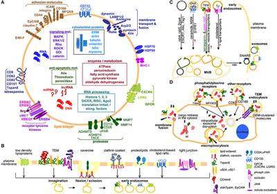 Biology pdf free download